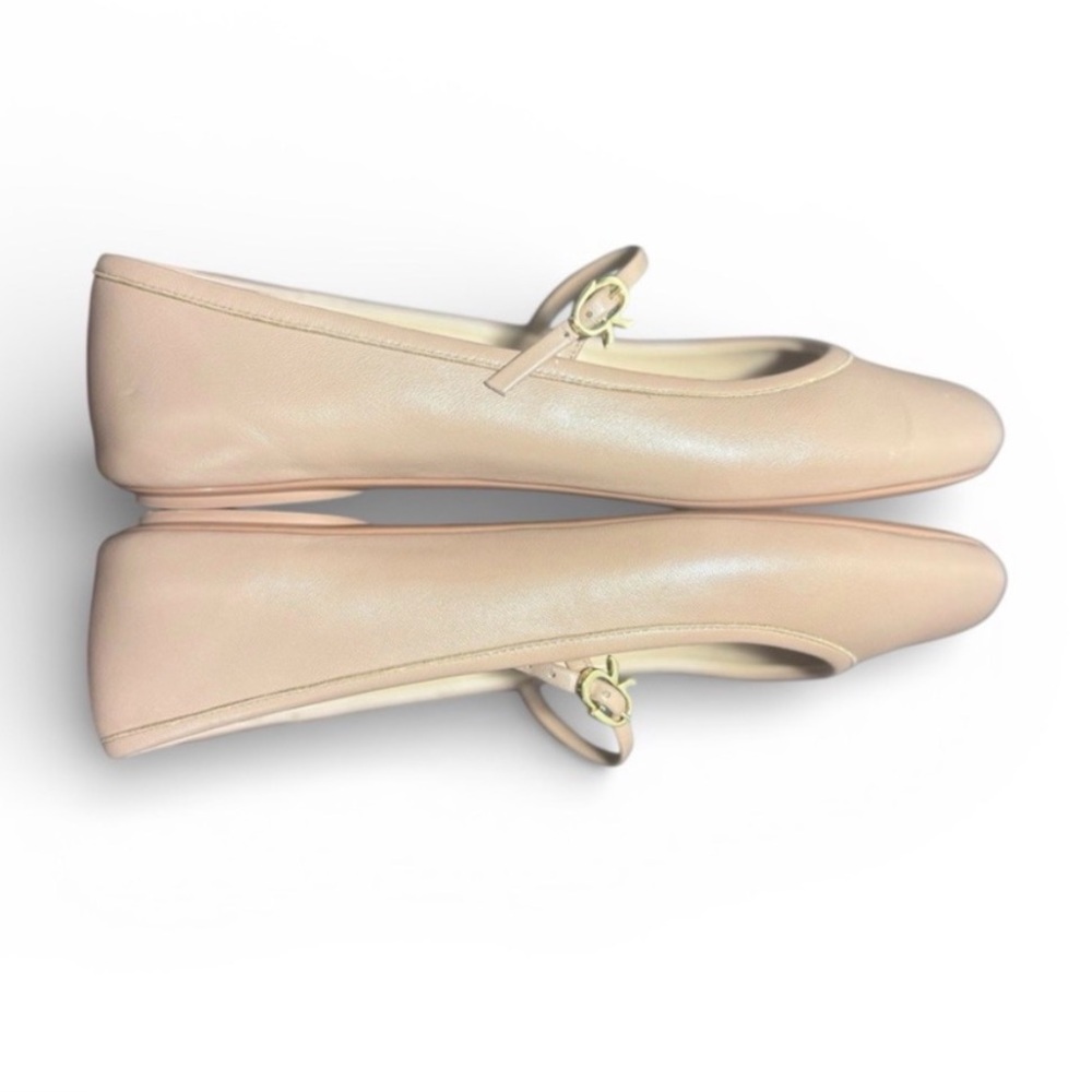 DELISTING TONIGHT. Gianvito Rossi Carla Ballerina. Tan Leather EU 40 (US 9.5–10) - Picture 4 of 11